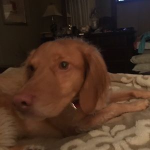 Meet your Posher, Mandy